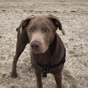 Meet your Posher, Mike